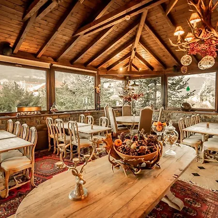 Sapin 3* Agios Athanasios (Pella)